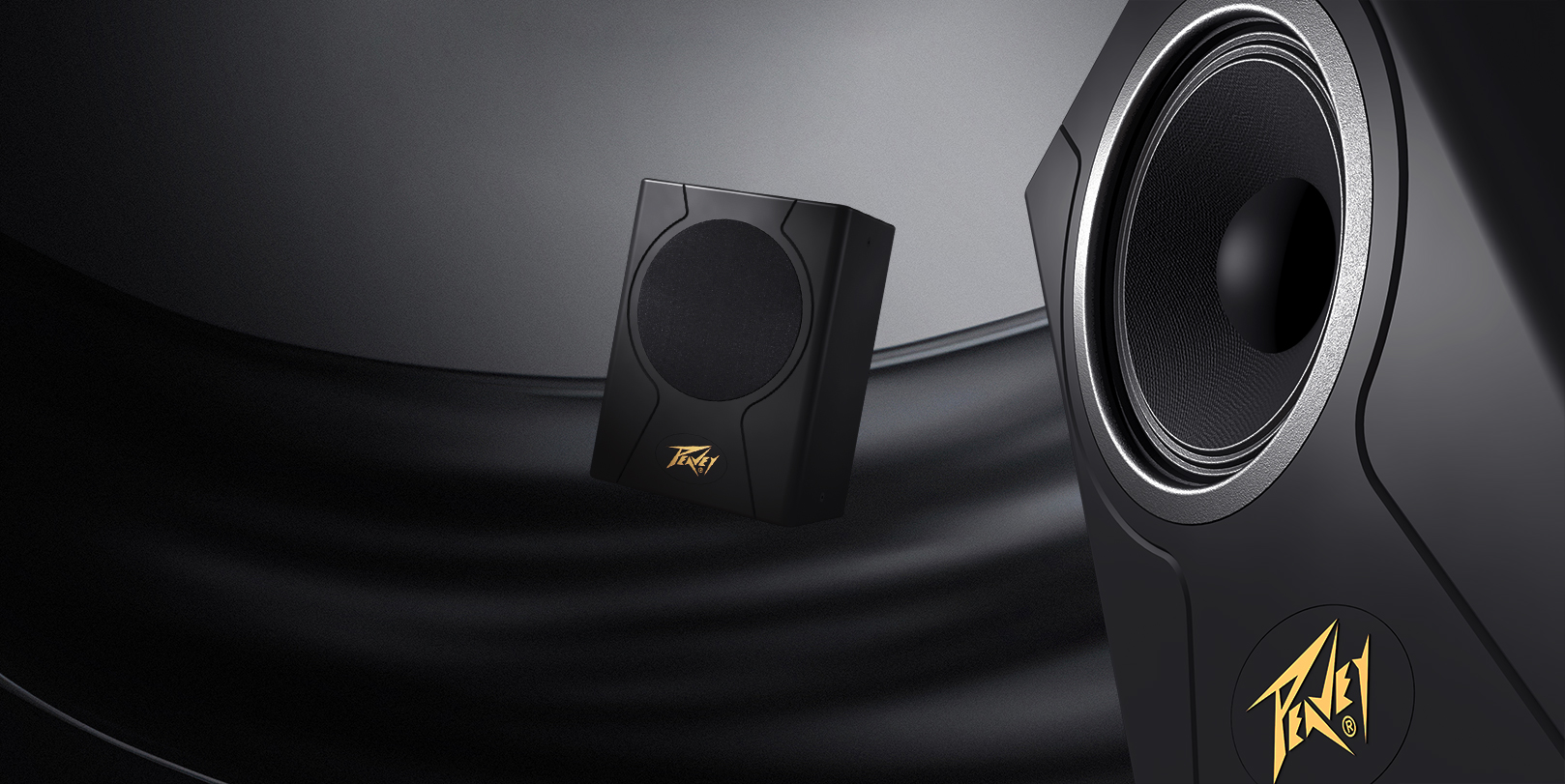 PEAVEY 遇见好声音